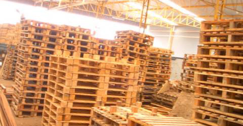 Pallets PHOENIX | Pallets de Madeira | Estrados de Madeira | Embalagens de madeira